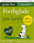 Forthglade Complementary Wet Dog Food (18 x 395g Trays) - Just Lamb with Vegetables, 90% Lamb, Grain Free Stomach Sensitive Dog Food with Natural Ingredients, Hypoallergenic Dog Food