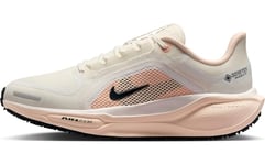 NIKE Femme Pegasus 41 Gore-TEX Women Sneaker, Sail Anthracite Goyave Ice Crim, 40 EU