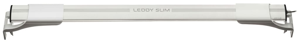 Leddy Slim Plant