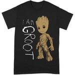 T-shirt Guardians Of The Galaxy  I Am Groot