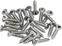 Fender Pickguard Screws [24-pack]