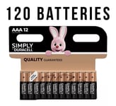 120 x Duracell AA Long Lasting Power Alkaline Batteries Economy Pack LR6 MN1500