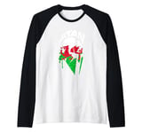 Spartan warrior Welsh flag. Design Wales Vintage Raglan Baseball Tee