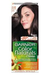 Pitkäkestäväinen hiusväri Garnier Color Naturals, Frozen Black