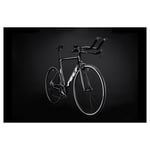 Felt B Performance Ultegra 2021 Racercykel