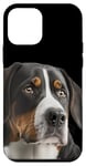 iPhone 12 mini My big love is a big Swiss Mountain Dog Case