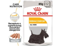 Royal Canin Dermacomfort Care Wet Dog Food Pâté 12X85 G