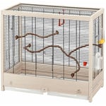 Ferplast - giulietta 5 Cage en bois fsc pour canaris et oiseaux exotiques. Variante giulietta 5 - Mesures: 69 x 34.5 x h 58 cm -