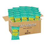 Popcorn Shed Salt & Vinegar Popcorn (Pack of 24) - Vegan, Gluten Free, Dairy Free, Allergen Free, Low Calorie Healthy Mini Popcorn Snack, Green