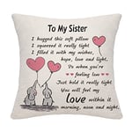 Sister Gifts from Sister Brother Big Little Soul Sister Cushion Cover Throw Pillow Cover Cushion Case Thanksgiving (sister-1)