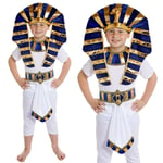 Boys Egyptian Pharaoh Costume King School Kids Historical School Day Fancy Dress