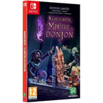 Le Maître du Donjon de Naheulbeuk - Jeu Nintendo Switch - Edition Limitée