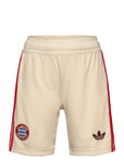 Adidas Performance Fc Bayern Munich 3 Sho Y Beige