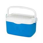 10L Portable Cool Box Ice Pack 2x 250g Handle Lid Travel Holiday Beach Cooler HQ