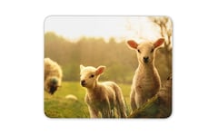 Cute Farm Animals Little Baby Lamb Mouse Mat Pad - Animal Computer Gift #14557