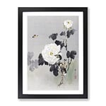 Young Bird & Butterfly By The Roses By Watanabe Seitei Asian Japanese Framed Wall Art Print, Ready to Hang Picture for Living Room Bedroom Home Office Décor, Black A2 (64 x 46 cm)