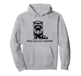 Raccoon Funny Sarcasm and Humor Trash Today Nap Tomorrow Pullover Hoodie