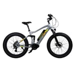 Swoop elcykel Fatbike Pro, 26"