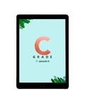 upcycle it Apple iPad 128 GB 24,6 cm (9.7") Wi-Fi 5 (802.11ac) iPadOS 15 Renovert Grå