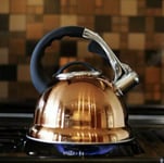 3.5L Stainless Steel Whistling Kettle Gas Electric Induction Hobs Camping Copper