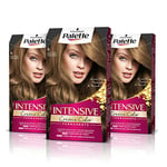 Schwarzkopf Palette Intensive Creme Color Colorant Permanent 6 Blond Foncé (Pack de 3), Teinture capillaire à l'huile de marula, coloration permanente jusqu'à 8 semaines