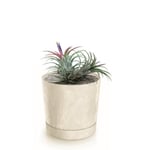 Botle Pot De Fleur Rond Creme En Plastique Beton Effect Cache Pot 12,8 Cm Decoratif Bac A Plantes Avec Soucoupe Fleurs