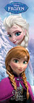 Empire Poster de Porte Motif Anna & Elsa (la Reine des Neiges) Bunt