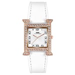 Basfur Dress Watch Fe-Montre-029-02