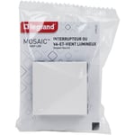 LEGRAND - Mosaic interrupteur va/vient lumineux blanc compo