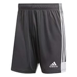 Adidas Men's TASTIGO19 SHO Sport Shorts, DGH Solid Grey/White, M/L