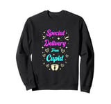 Valentines Day Gender Reveal Special Delivery From Cupid Sweatshirt