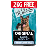 2 kg gratis! 14 kg Burns tørrfôr - Adult &amp; Senior Original - Lam og brun ris