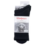 Woolpower 69Woolpower Socks 2-pack Logo + Liner 40-44