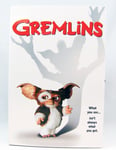 Gremlins - Neca Reel Toys - "Ultimate" Gizmo