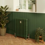 Radiateur fonte - 66 cm - 4 colonnes - Duck Green W55 de Farrow & Ball - Choix de tailles - Isabel