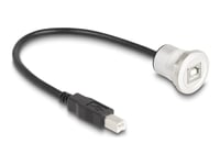 Delock - Usb-Forlengelseskabel - Usb-Type B (Hann) Til Usb-Type B (Hunn) Panelmonterbar - Usb 2.0 - 30 Cm - Svart, Sølv