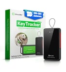 GlocalMe KeyTracker for Dog, GPS Tracker, Worldwide Real-time location tracking, 6 Relocation Technology, Monitor Activity, Provides Emergency Network Connection