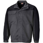 Veste de travail Everyday Dickies ED24/7JK - Déstockage - Gris clair - xs - Gris clair