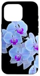 Coque pour iPhone 16 Pro Magnifique orchidée bleue Phalaenopsis en forme de mania