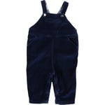 Combinaisons enfant Petit Bateau  Salopette velours lisse bleu