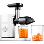 AAOBOSI cold press juicer machines, Slow Masticating Juicer for Fruit and Vegetable Delicate Crushing without Filtering, juice maker with Quiet Motor and Reverse Function, White