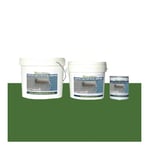 Peinture Laque Epoxy Spécial Carrelage - 1 Kg Vert Gazon - MATPRO