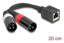 Delock Adapterkabel Rj45-Kontakt Til 2 X Xlr 3-Pinners Plugg Svart 20 Cm (88179)