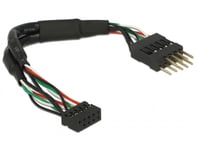 DELOCK – Cable USB 2.0 pin header female 2.00 mm 10 pin > USB 2.0 pin he (41977)