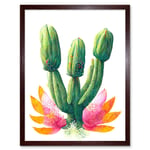 Colourful Cactus Plant In Flower Painting Art Print Framed Poster Wall Decor 12x16 inch