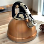 Whistling Kettle Stovetop Copper Stainless Steel Gas Electric Induction Hob 3.5L