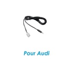 Cable auxiliaire mp3 autoradio audi a3 a4 tt rns-e - skyexpert