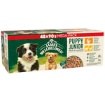 James Wellbeloved Grain Free Puppy Dog Food with Turkey Lamb and Chicken in Gravy Pouch 48 x 90 g