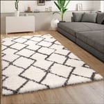 Paco Home - Tapis Shaggy Tapis De Salon Poil Long Motif Scandinave Moderne Gris Blanc Cassé 60x90 cm