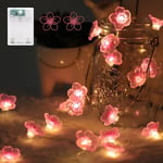 Afaiup Flower Fairy String Lights,2M Pink Cherry Blossom Lights with 20 LED,Fairy Light Battery case with Timing Function,Fairy Lights Spring Decoration for Indoors,Bedroom,Christmas Decoration